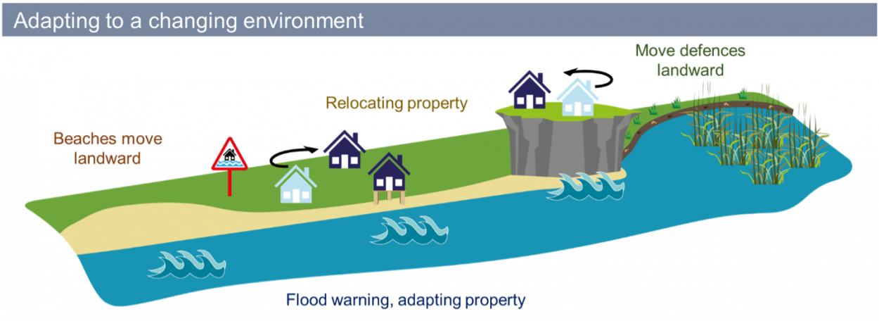 Adapting To Tide Graphic