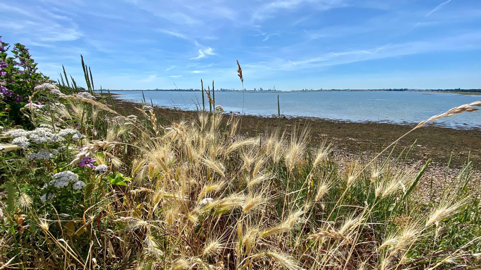 Fareham Quay & Alton Grove to Cador Drive FCERM Studies — Coastal Partners