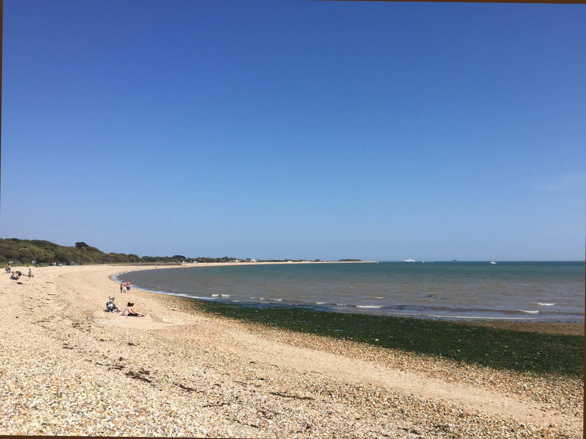 Stokes Bay Study — Coastal Partners