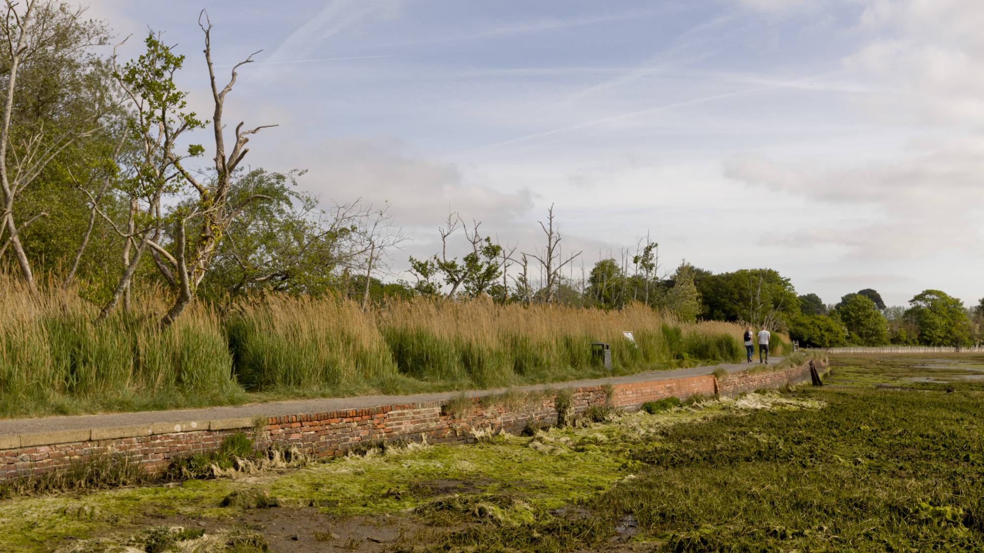 Langstone Mill Pond - sea wall