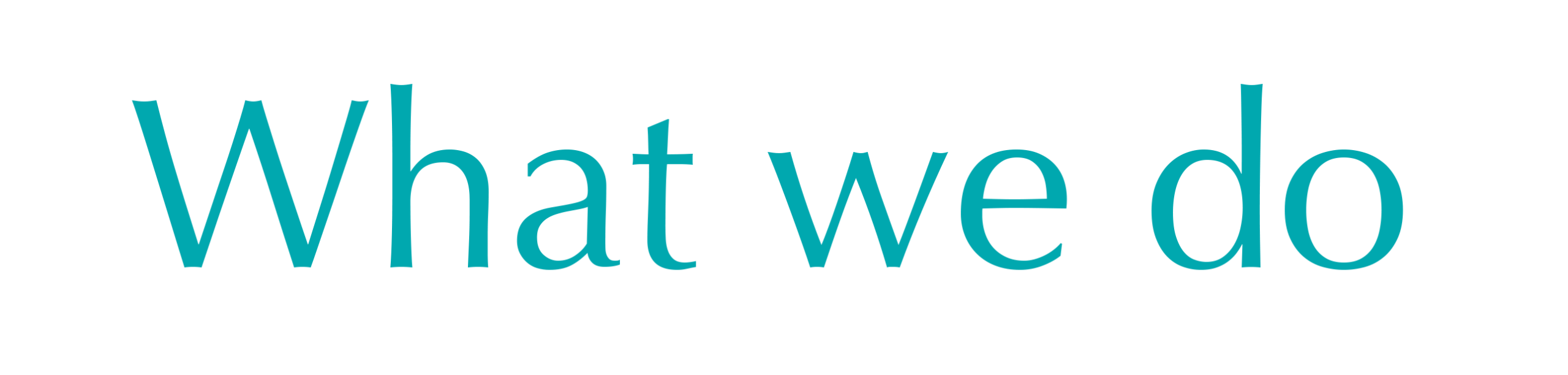 What we do